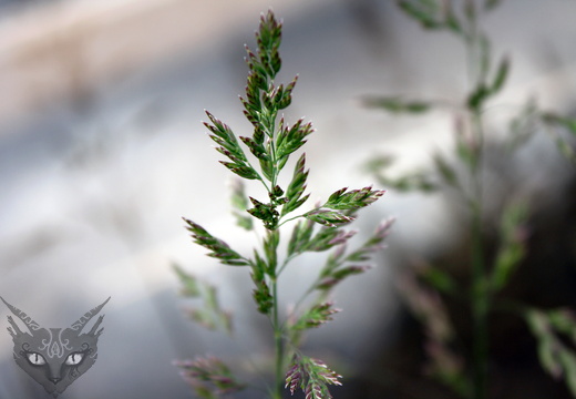 51888790753 c3dd7606b0 o